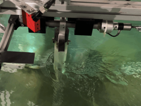 Un investigador de la URV dissenya un sistema basat en un pèndol per extreure energia de corrents marins