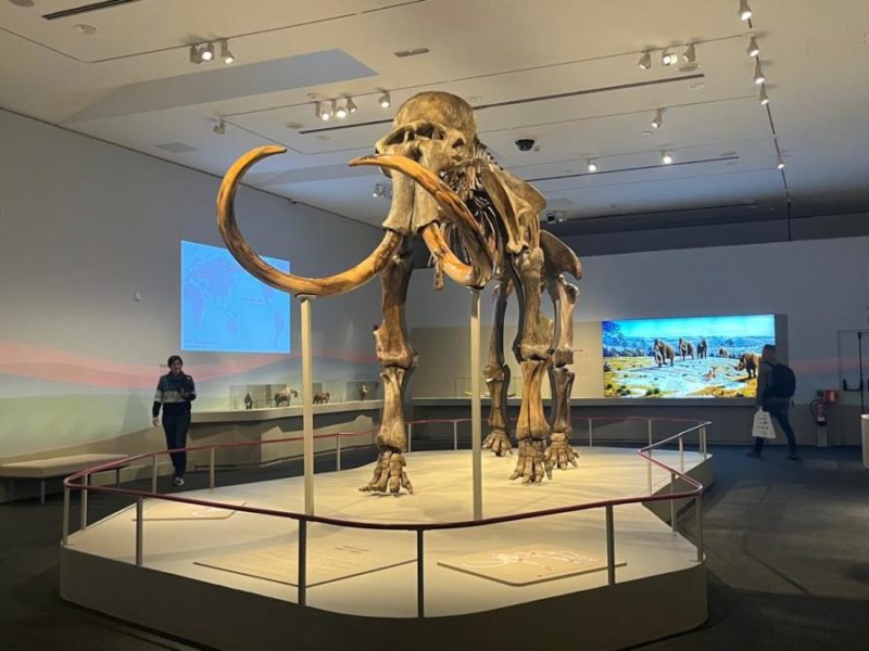 CaixaForum tanca el 2025 amb més de 90.000 visitants