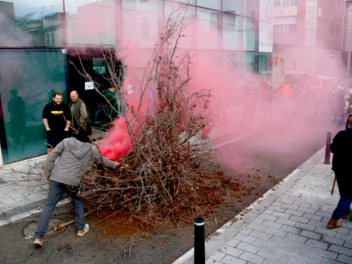 La pagesia del Camp de Tarragona deixa avellaners morts a Agricultura i a Aigües de Reus per denunciar la falta d’aigua