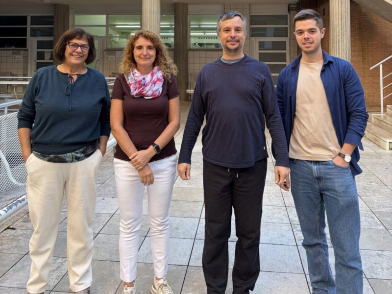 Un estudi de la URV vincula la ingesta de vitamina K amb un millor desenvolupament cognitiu dels nadons