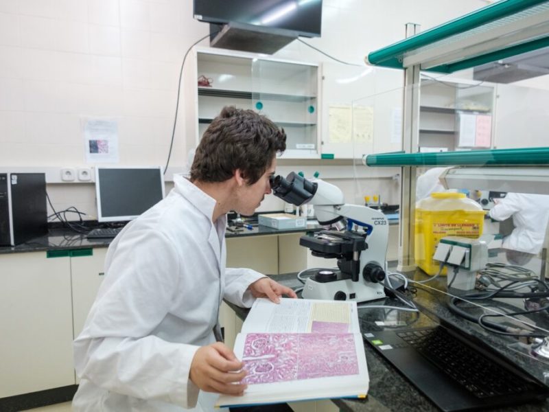 El futur grau de Farmàcia de la URV oferirà una quarantena de places