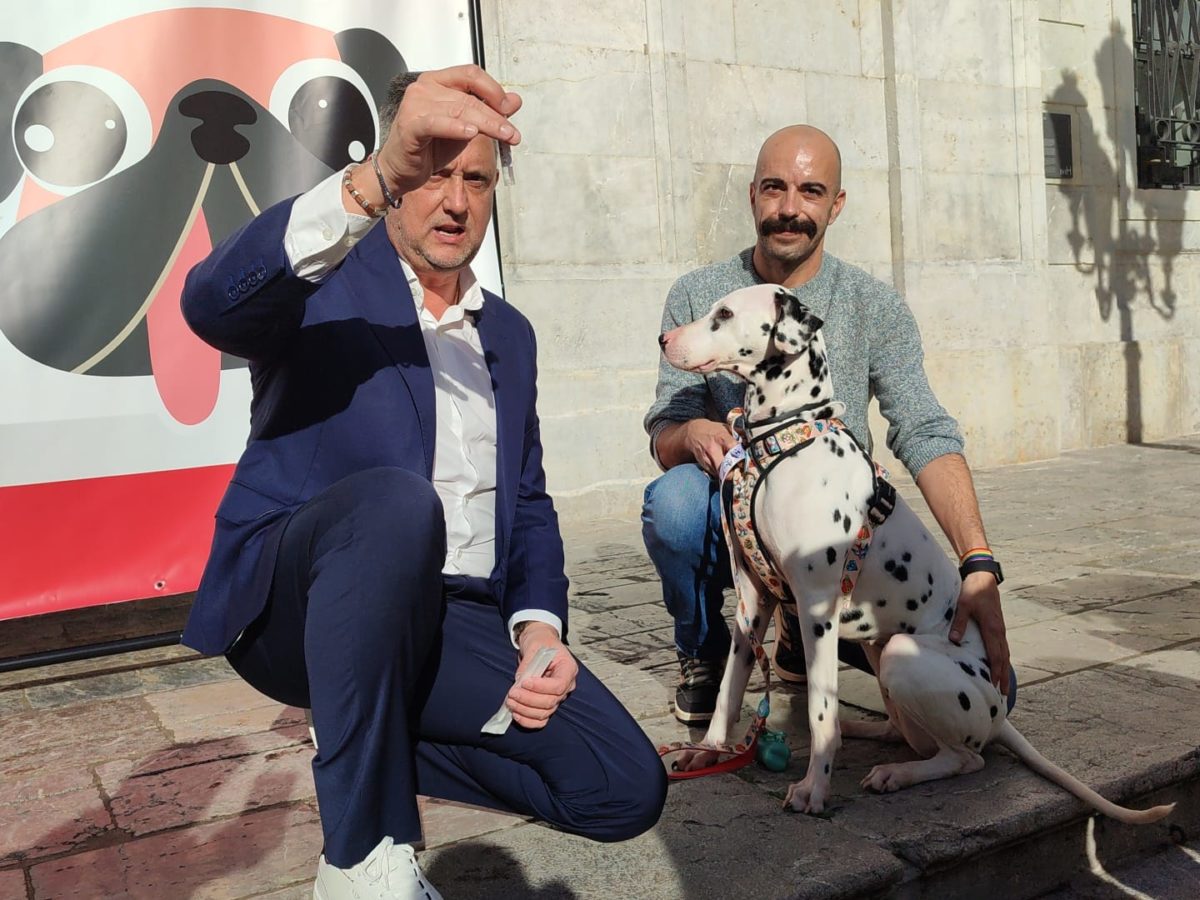 Tots els gossos de Tarragona hauran d’estar inscrits en un registre censal amb el seu ADN