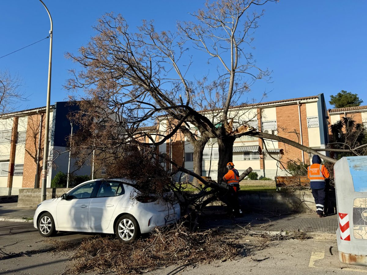 Mor una dona de 46 anys que estava en estat crític després de caure-li part d’un sostre d’una nau a Barcelona pel vent