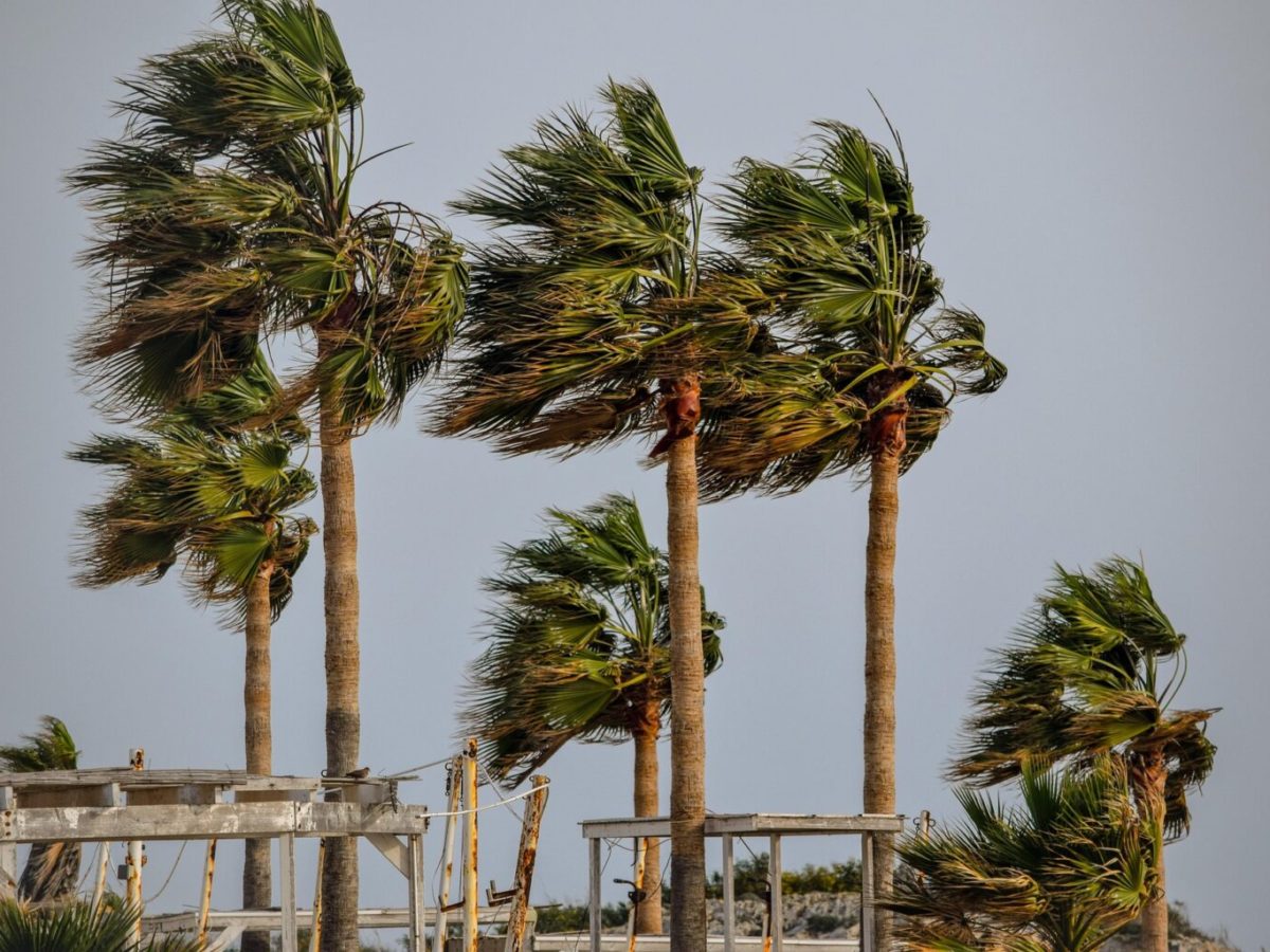 La URV suspèn classes i tanca campus i edificis aquest dijous davant el risc extrem de ventades