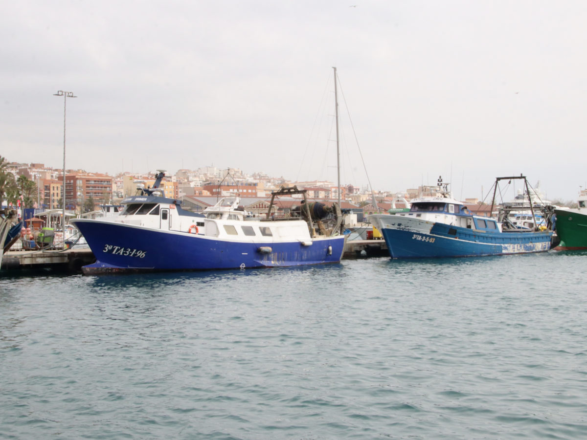 Els pescadors celebren que Brussel·les s’obri a modificar el sistema de quotes de pesca, però demanen concreció