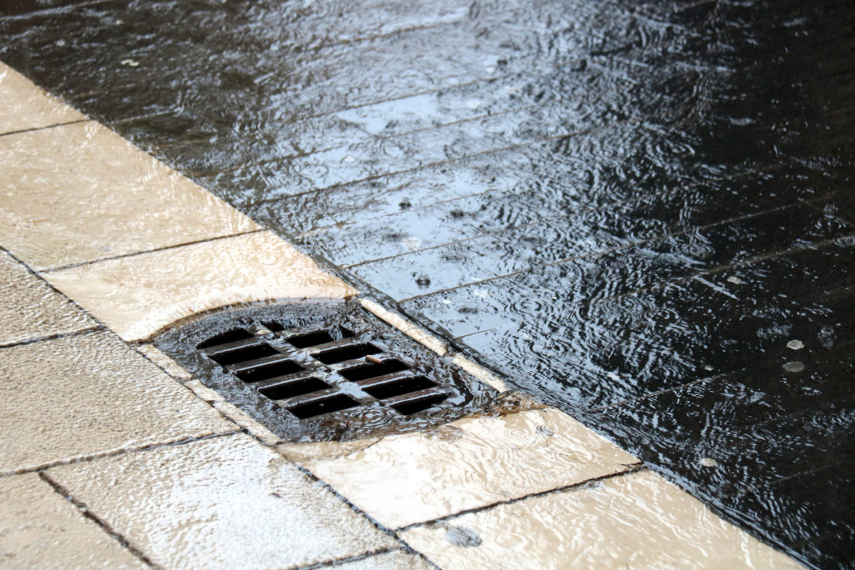 Detall d'un embornal engolint la pluja al centre de Figueres Data de publicació: dilluns 19 de gener del 2026, 14:00 Localització: Barcelona / L'Escala Autor: Redacció