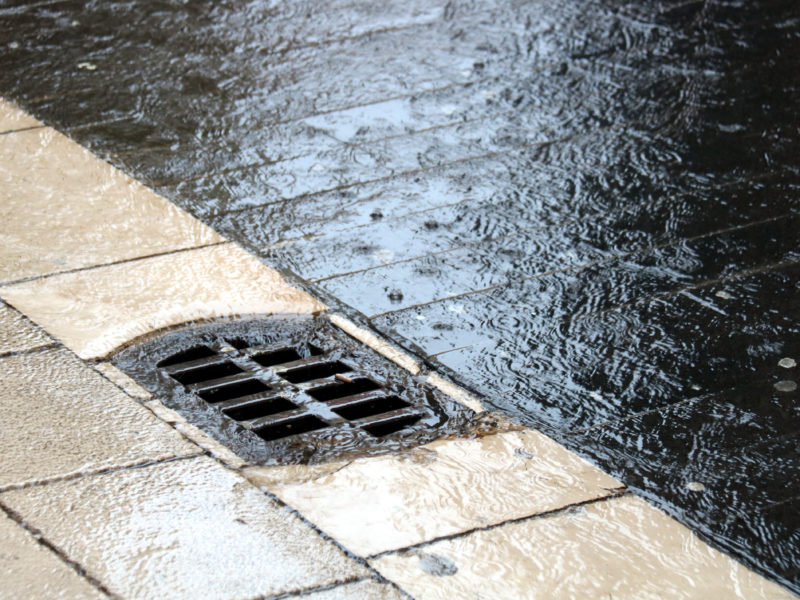 Detall d'un embornal engolint la pluja al centre de Figueres Data de publicació: dilluns 19 de gener del 2026, 14:00 Localització: Barcelona / L'Escala Autor: Redacció