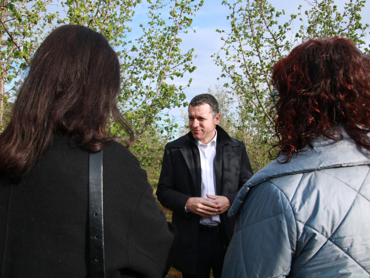 El Pla de l’avellana desplegarà 25 mesures per garantir la producció d’aquest cultiu i reforçar la competitivitat