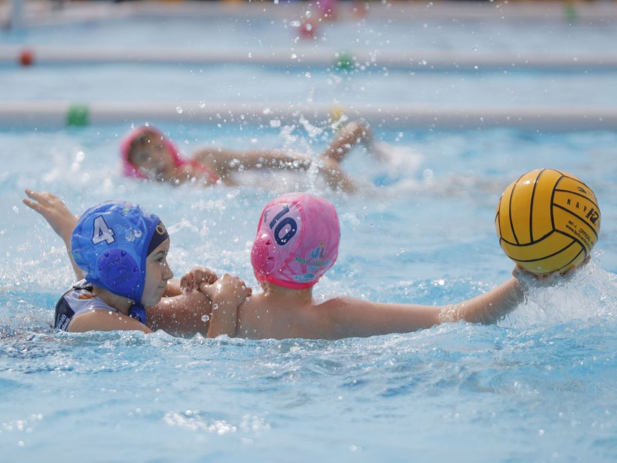 El torneig de waterpolo base Habawaba Spain torna aquest cap de setmana amb 850 participants