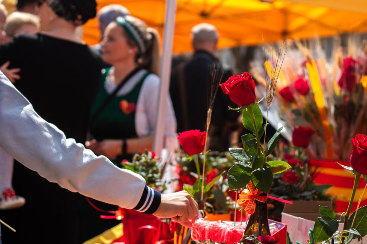 Imatge del Sant Jordi anterior. Autoria: Alejandro Navarro