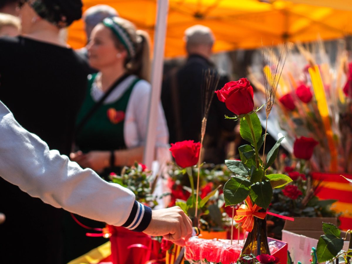 Imatge del Sant Jordi anterior. Autoria: Alejandro Navarro