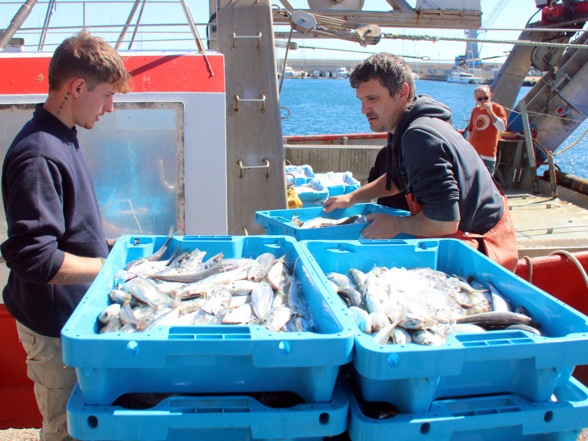 Els pescadors critiquen que paguen el doble pel gasoil arran de la guerra i n’hi ha que ja redueixen dies
