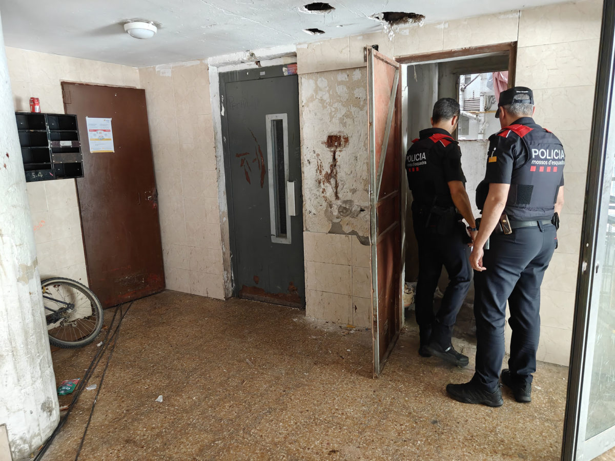 Set detinguts a Campclar que cultivaven marihuana i venien drogues en pisos ocupats