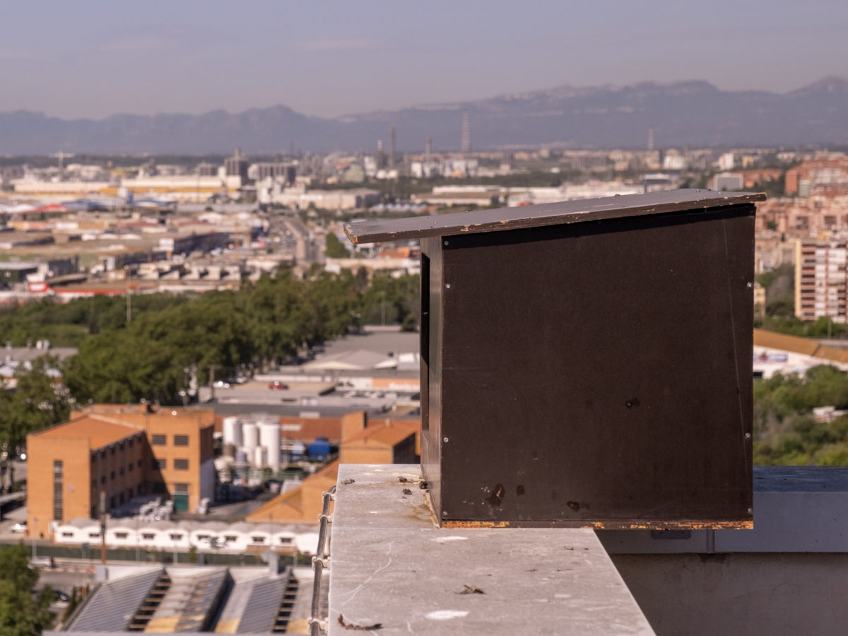 Instal·len caixes niu en diferents punts de la ciutat per augmentar la població d’aus rapinyaires