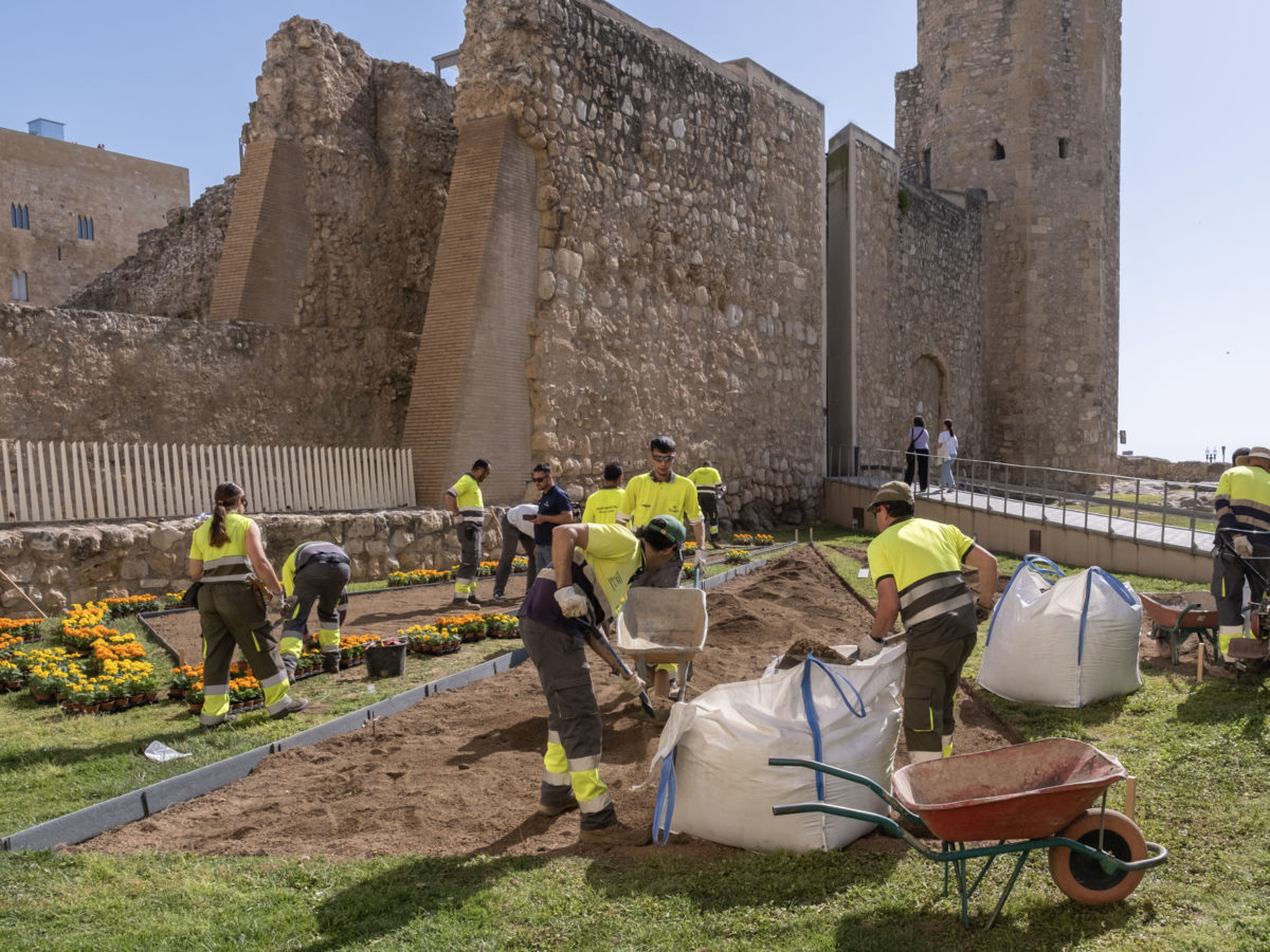 Tarragona estrena més de 20.000 plantacions de temporada