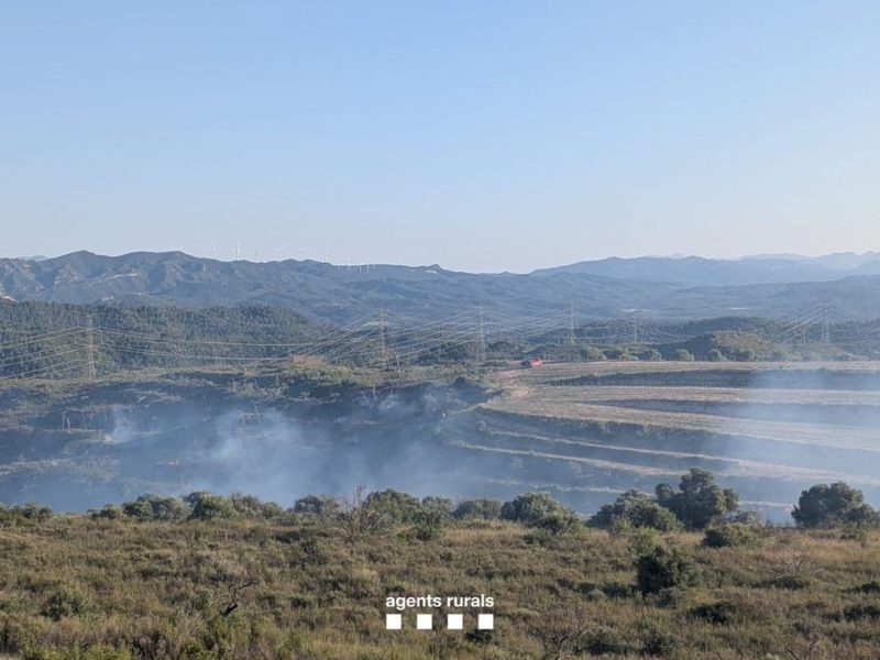 Un incendi a Vinebre afecta dotze hectàrees de matollar mediterrani