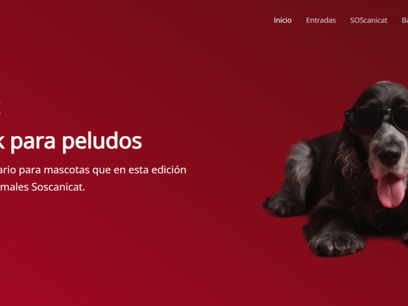 PETS ROCK FEST a Lo Submarino