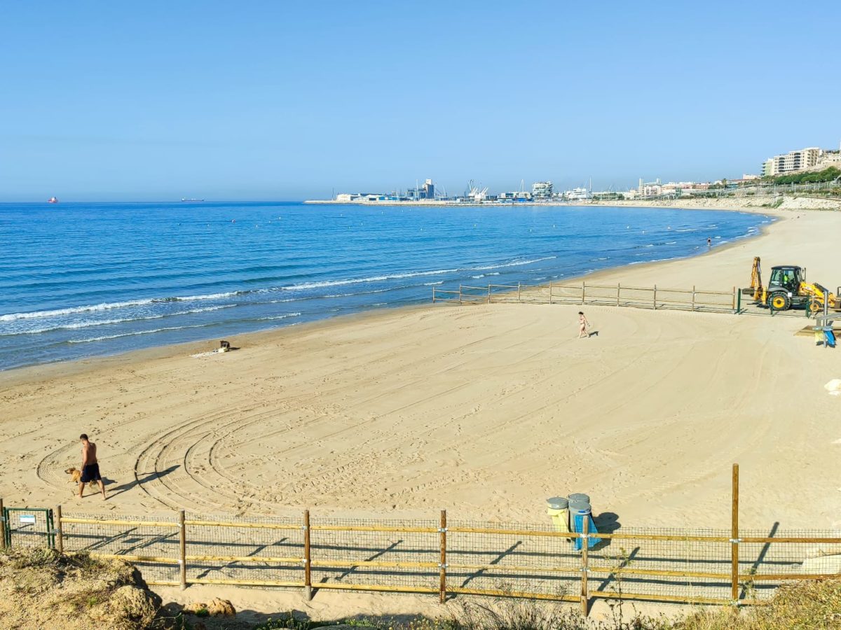 Primer estiu amb dues platges per a gossos a Tarragona
