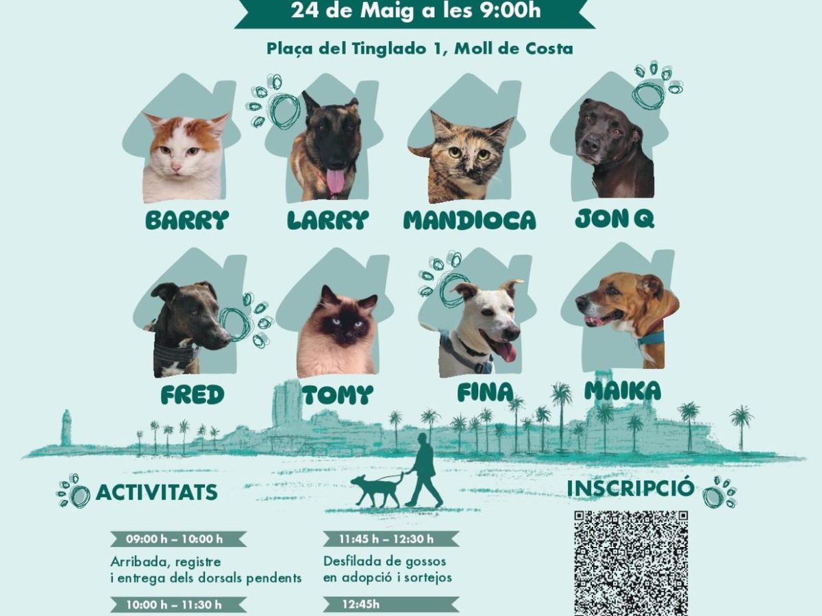 La Protectora d’Animals impulsa una caminada de gossos per visibilitzar la problemàtica de l’abandonament