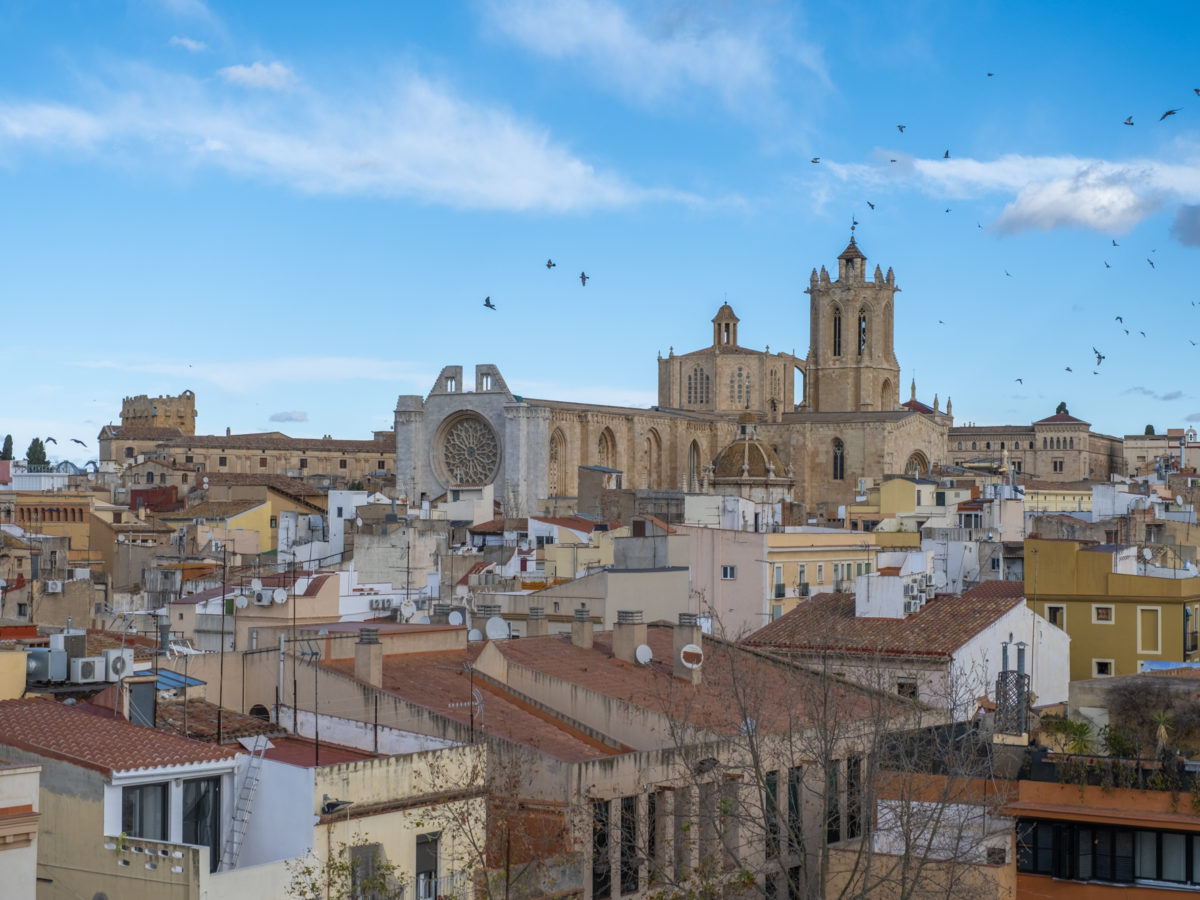 ConnecTarragona pren força amb la posada en marxa de les principals accions