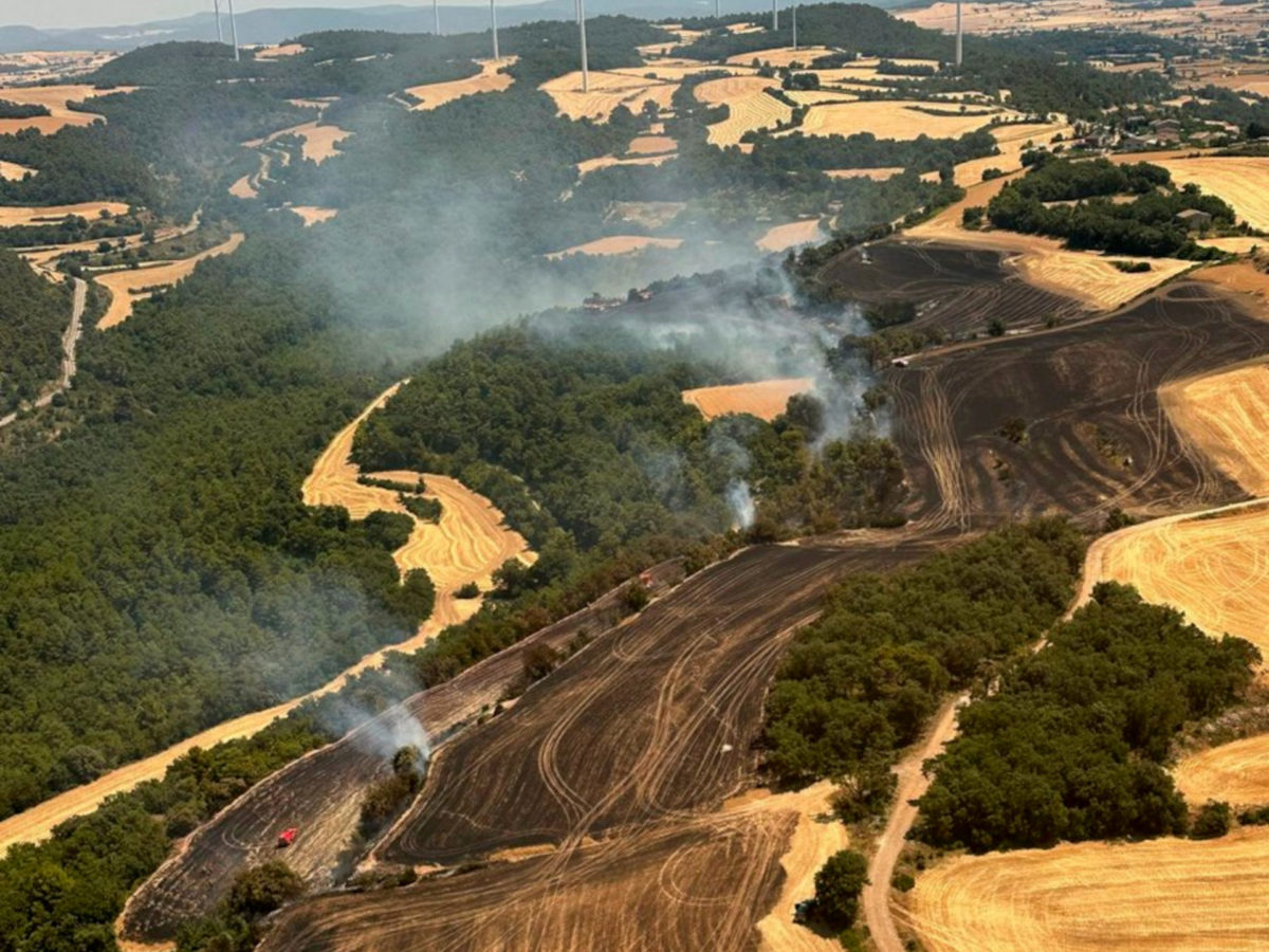 Estabilitzat l’incendi de Savallà del Comtat que ha cremat 11,3 hectàrees