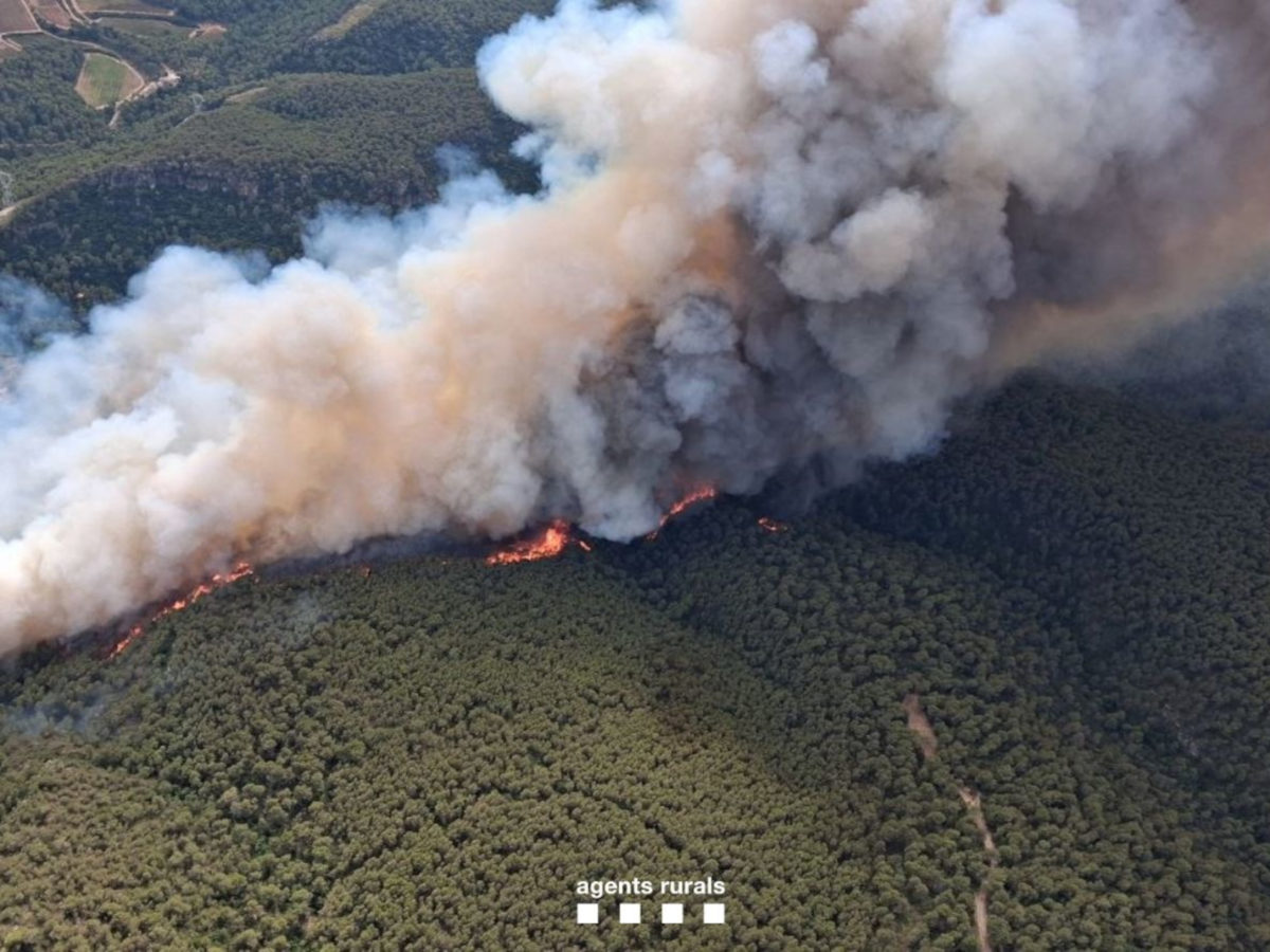 Els Bombers treballen en un nou incendi forestal a Aiguamúrcia amb un potencial d’unes 400 hectàrees