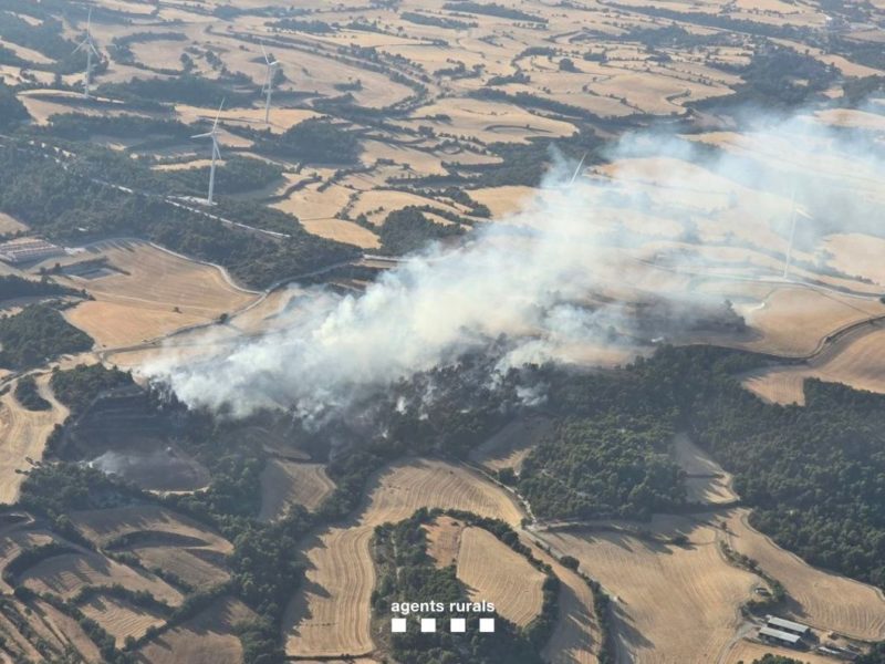 Estabilitzat l’incendi forestal a Santa Coloma de Queralt, que ha afectat 8 hectàrees