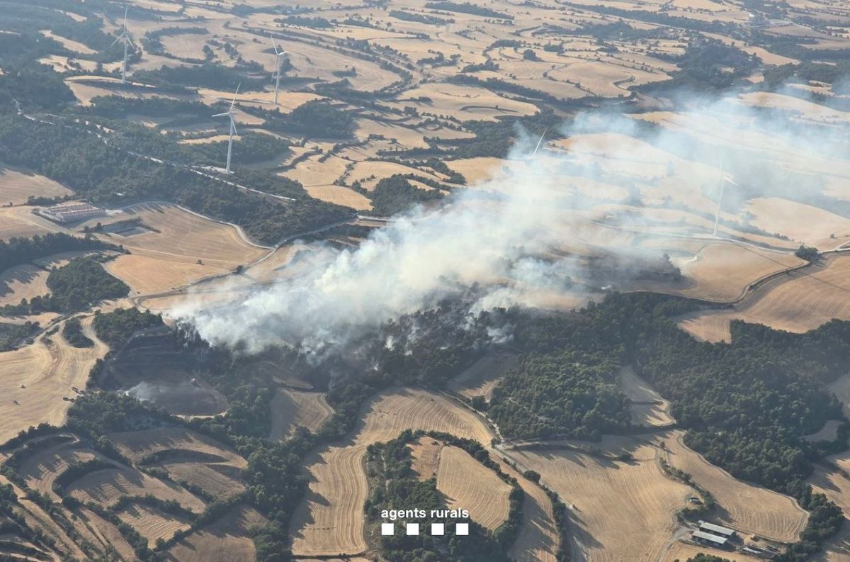 Incendi Santa Coloma de Queralt FOTO: ACN