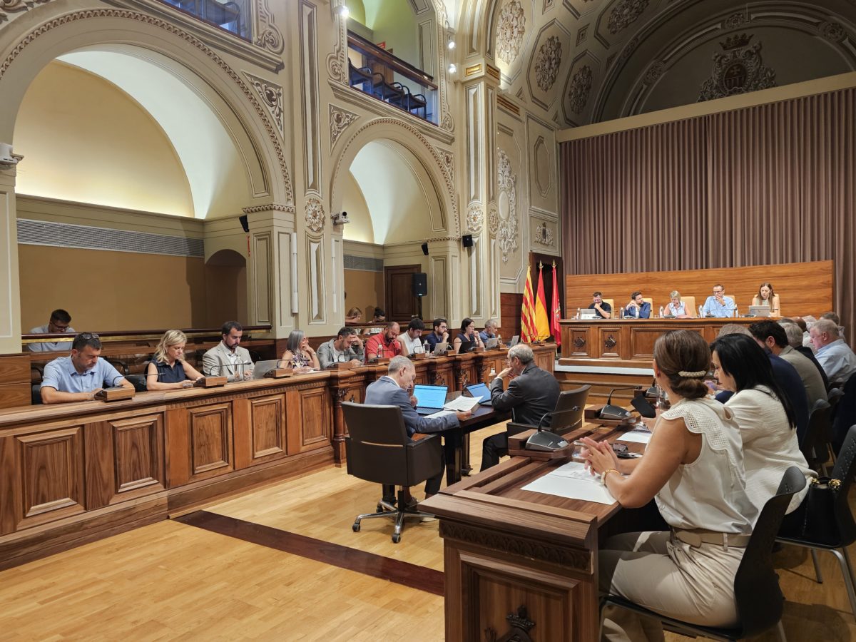 Ple Diputació FOTO: Diputació de Tarragona