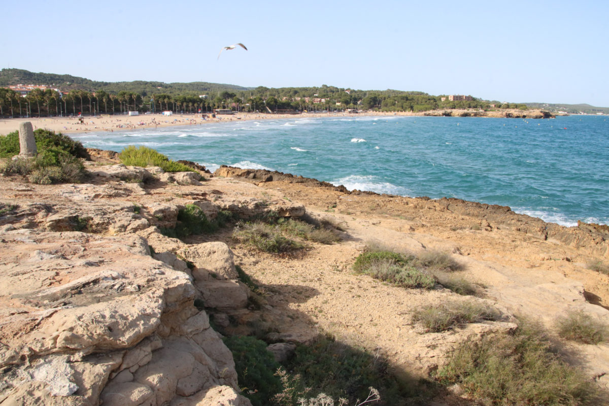 Imatge de la zona de roques a tocar de la platja de l'Arrabassada, des d'on saltaven els menors que han patit el sinistre Data de publicació: divendres 19 de juny del 2026, 18:54 Localització: Tarragona Autor: Eloi Tost