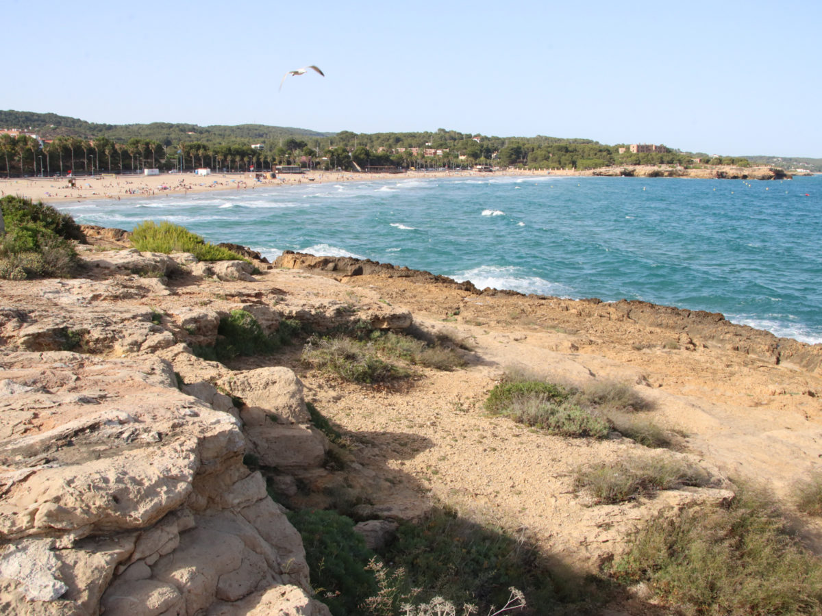Imatge de la zona de roques a tocar de la platja de l'Arrabassada, des d'on saltaven els menors que han patit el sinistre Data de publicació: divendres 19 de juny del 2026, 18:54 Localització: Tarragona Autor: Eloi Tost