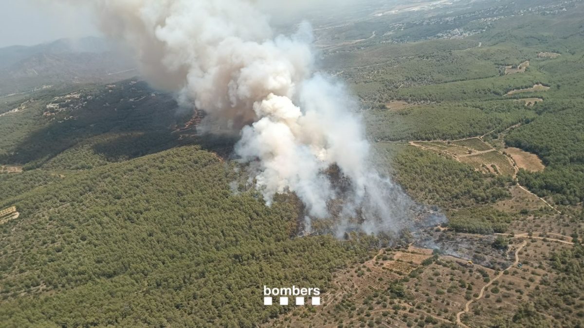 Incendi Masllorenç FOTO: ACN