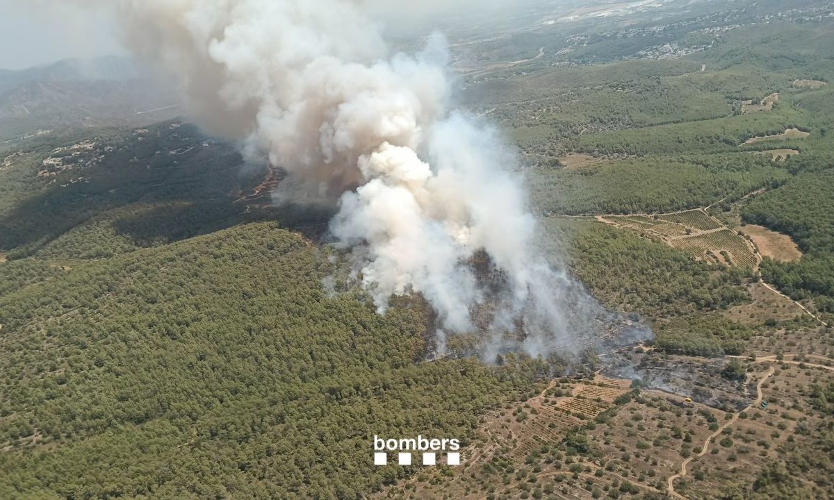 Incendi Masllorenç FOTO: ACN