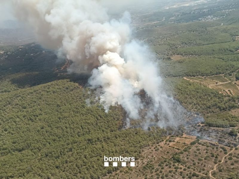 L’incendi de Masllorenç crema onze hectàrees i mitja