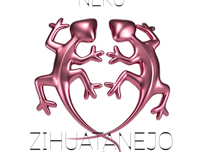 Viatgem a Zihuatanejo amb Ñekü