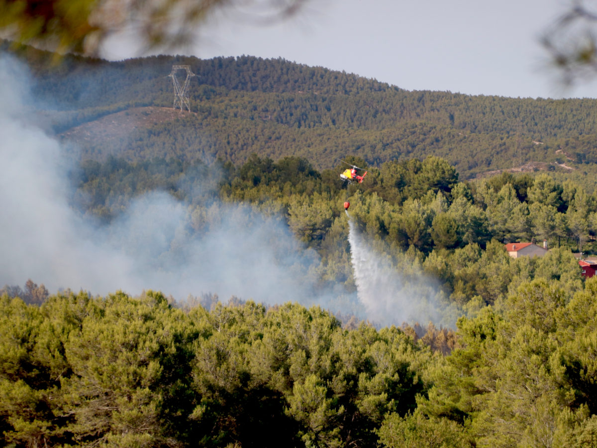 Protecció Civil manté activat l’INFOCAT pel nou episodi progressiu de calor que incrementa el risc d’incendis forestals