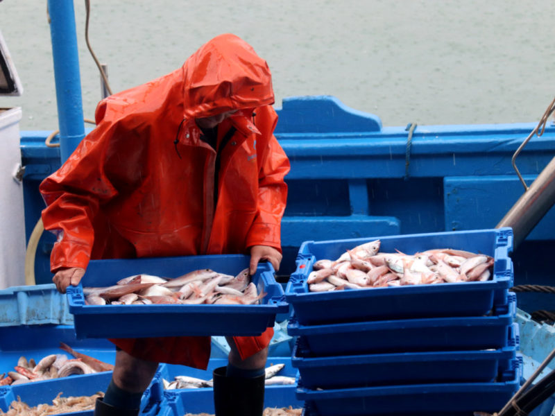 L’arrossegament tarragoní torna a la mar amb optimisme però amb la mateixa incertesa