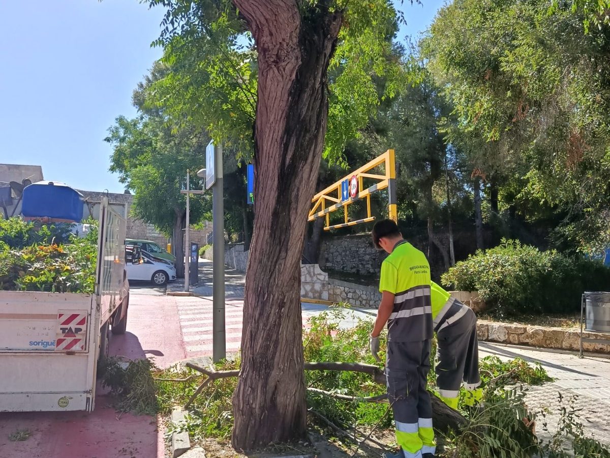 Tarragona reobre els parcs després del temporal