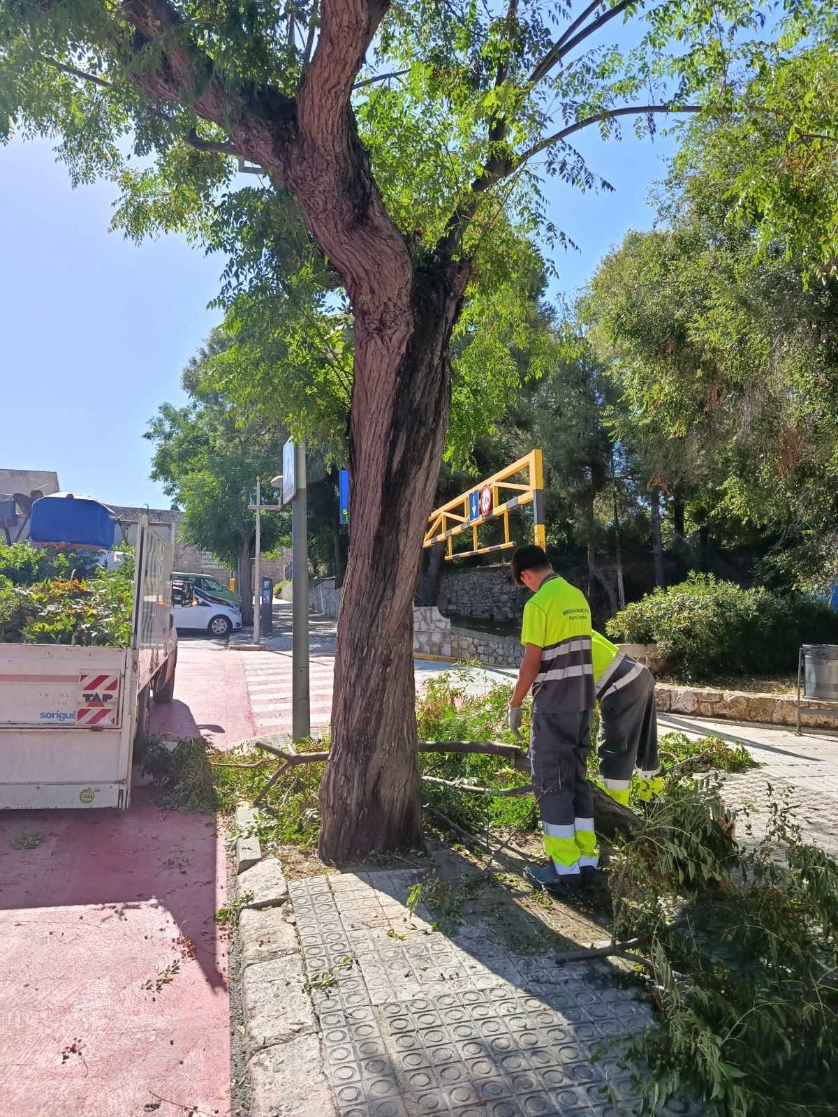 FOTO; Ajuntament de Tarragona