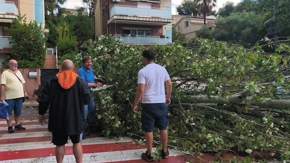Veïns de la Mora retirant un arbre caigut pel temporal. 24-08-26