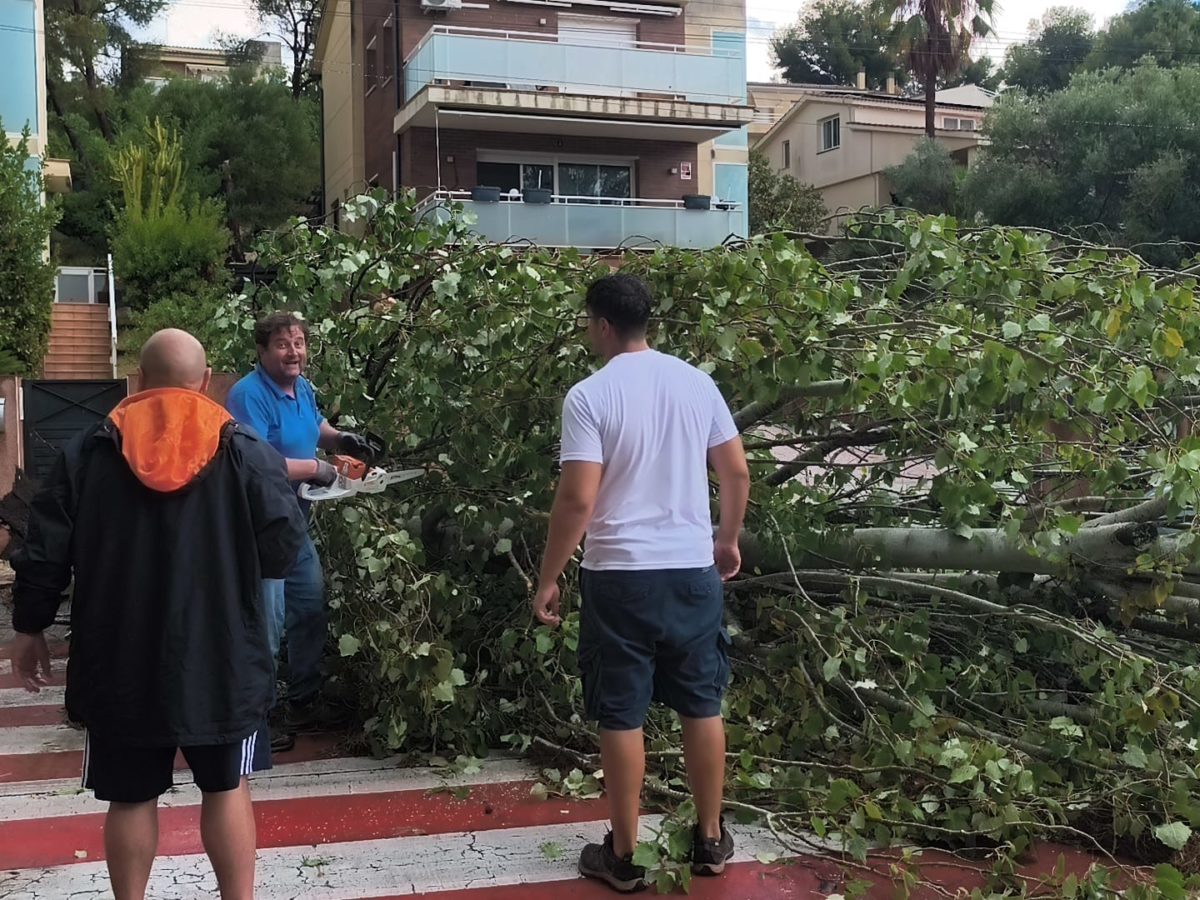 Moments d’angoixa pel fort temporal, que deixa arbres caiguts i vehicles esclafats