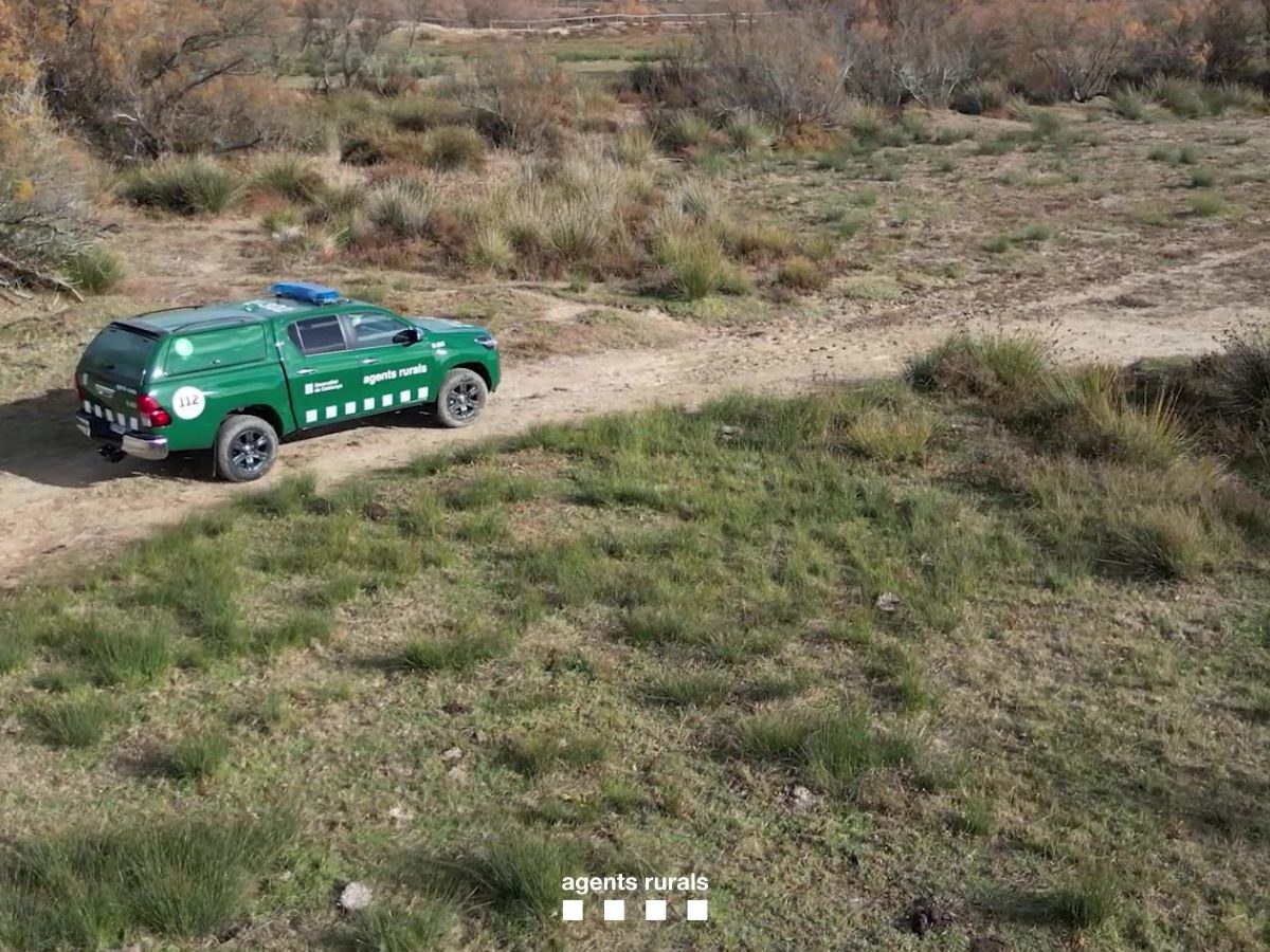 Els Agents Rurals despleguen des d’aquest dilluns un dispositiu especial amb més 150 efectius per l’eclipsi