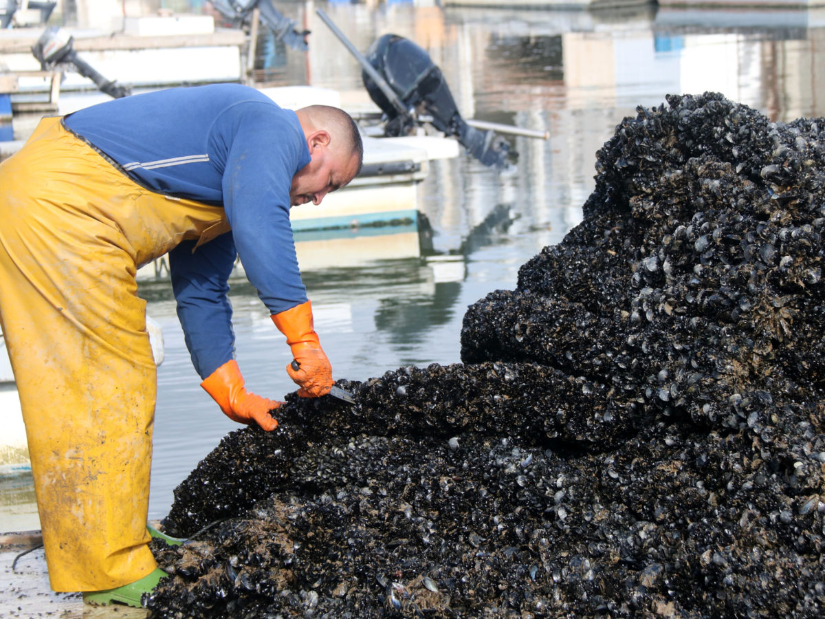 El nombre d’aturats augmenta un 2,19% al juliol a Tarragona i l’Ebre