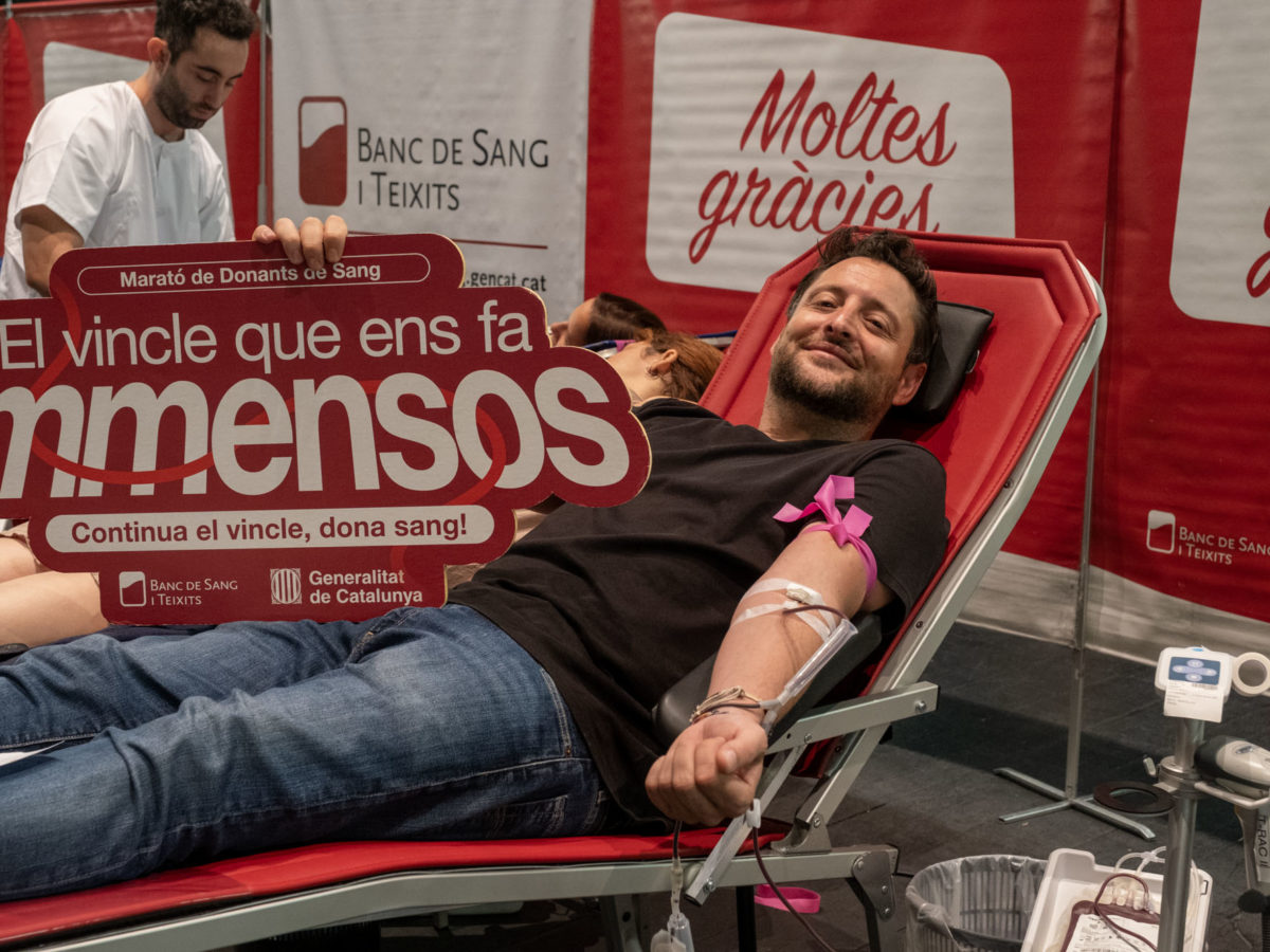 Gran Jornada inclusiva per celebrar la 36a edició de la Festa per a Tothom