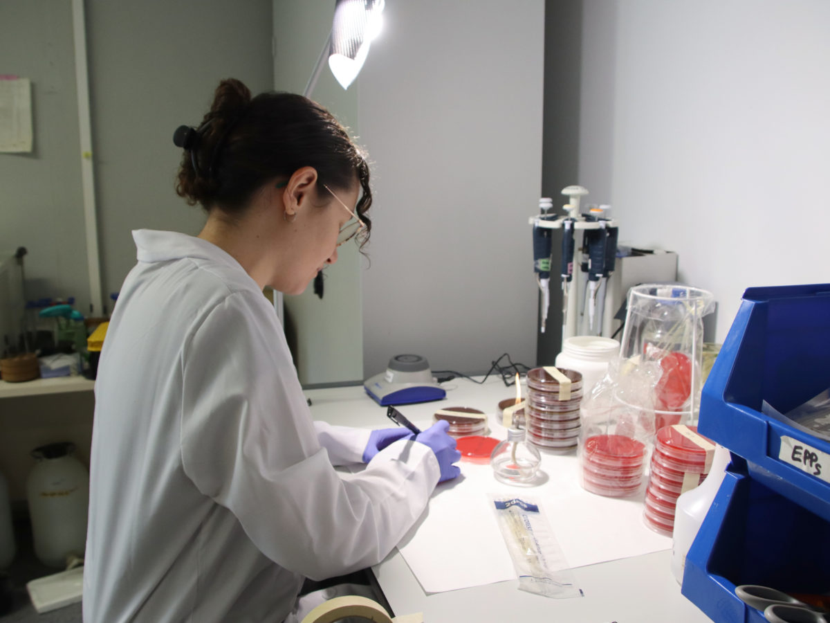 L’IRB CatSud doblarà l’espai de recerca que té actualment al campus de l’Hospital Joan XXIII