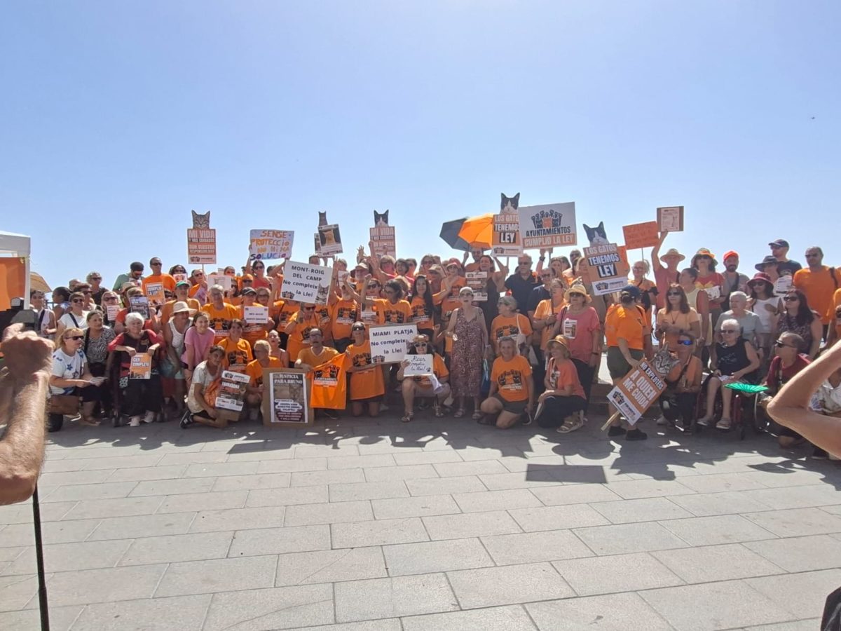 Tarragona s’ha sumat aquest diumenge a la mobilització estatal per exigir als ajuntaments el compliment de la normativa sobre la gestió dels gats comunitaris i les colònies felines. Foto: Cedida