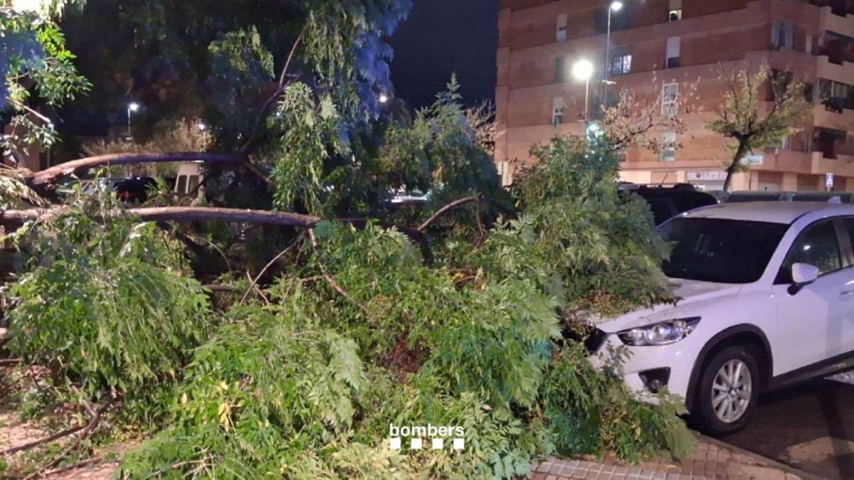 Arbres caiguts sobre cotxes al barri de Sant Pere i Sant Pau de Tarragona Data de publicació: dilluns 19 d’octubre del 2026, 22:19 Localització: Barcelona Autor: Bombers de la Generalitat