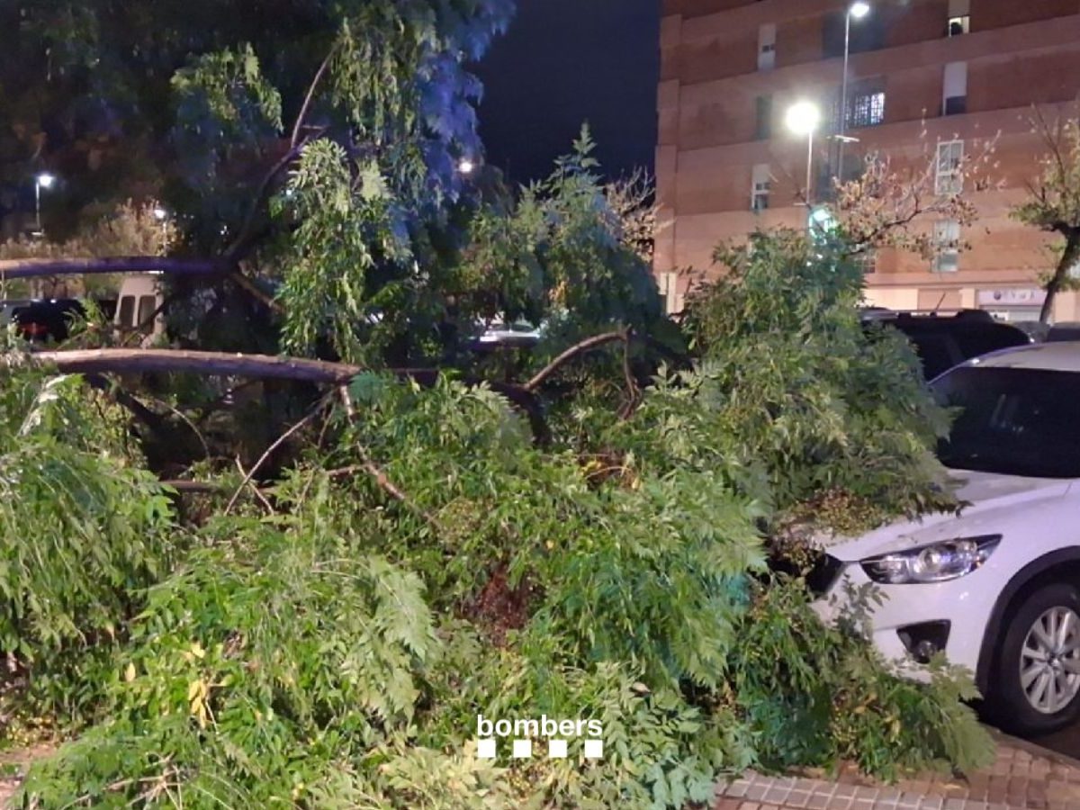 Protecció Civil es manté amatent  pel temporal tot i que per ara no hi ha incidències rellevants
