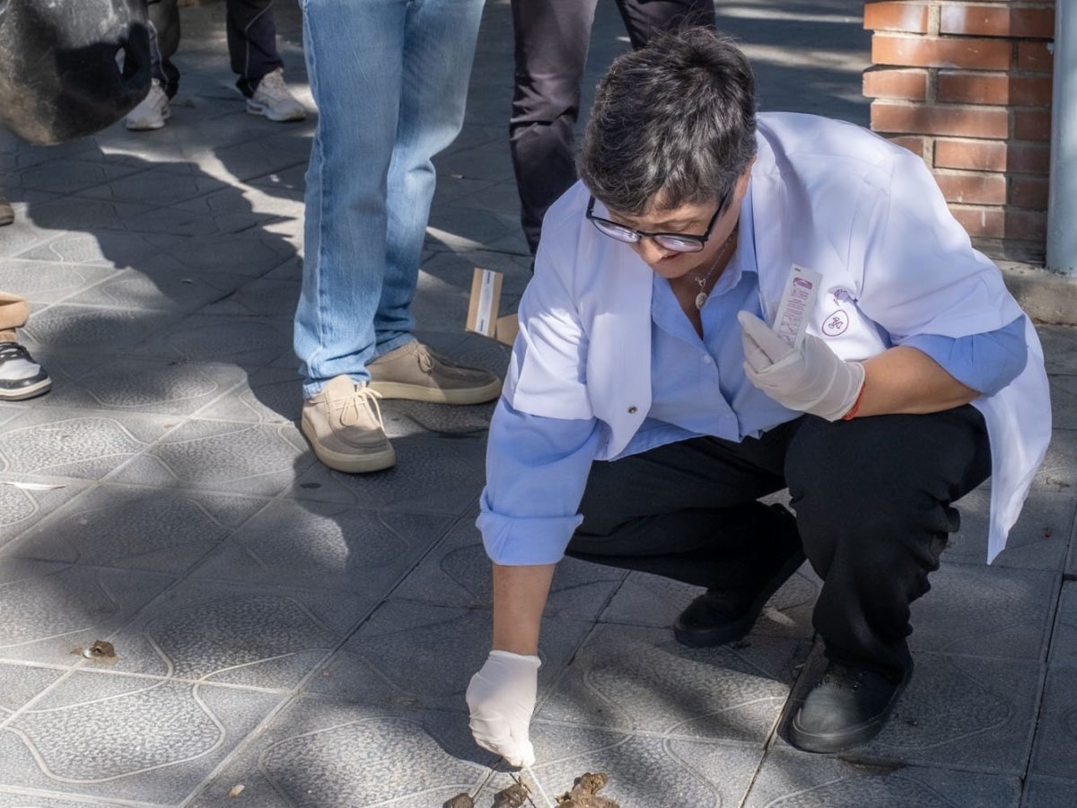 Primer positiu en les mostres d’excrements de gossos recollides als carrers de Tarragona